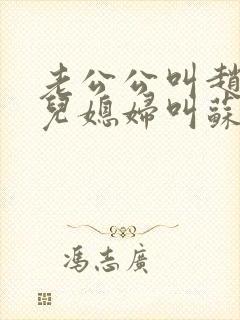 老公公叫赵大宝儿媳妇叫苏媚的小说