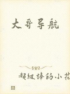 大哥导航