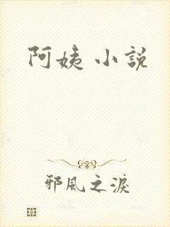 阿姨 小说