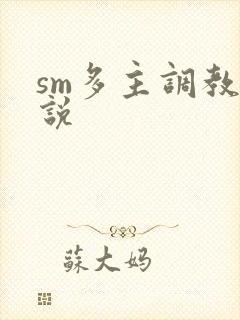 sm多主调教小说
