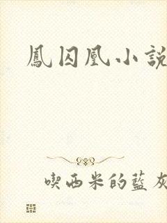 凤囚凰小说