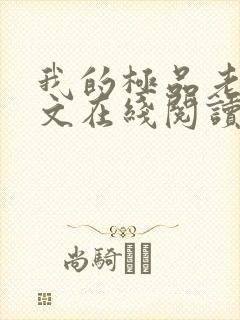 我的极品老婆全文在线阅读