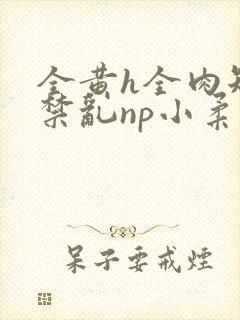 全黄h全肉短篇禁乱np小柔