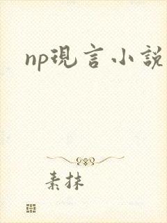 np现言小说h