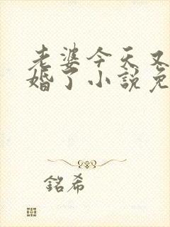 老婆今天又想离婚了小说免费阅读封面