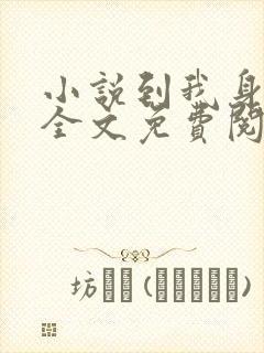 小说到我身边来全文免费阅读