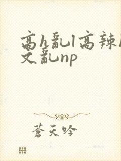 高h乱l高辣h文乱np