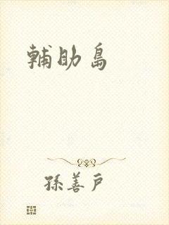 辅助岛