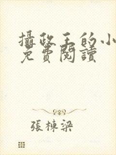 摄政王的小奶娘免费阅读