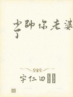 少帅你老婆又跑了