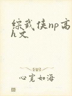 综武侠np高辣h文
