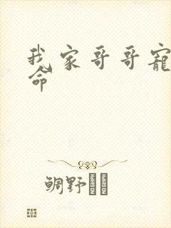 我家哥哥宠妹如命