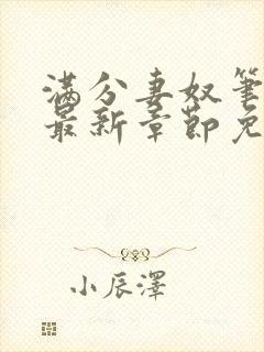 满分妻奴笔趣阁最新章节免费阅读全文封面