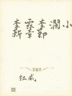 李霖李澜小说最新章节封面