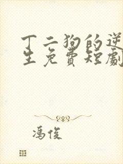 丁二狗的逆袭人生免费短剧封面