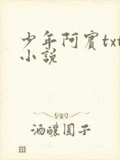少年阿宾txt小说