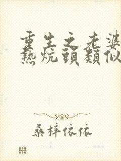 重生之老婆孩子热炕头类似小说封面
