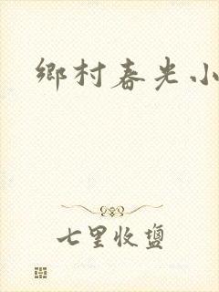 乡村春光小说封面