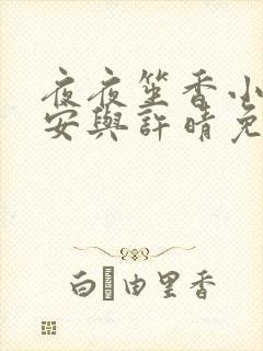 夜夜笙香小说陈安与许晴免费阅读
