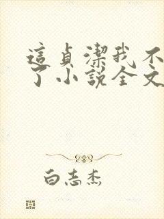 这贞洁我不在乎了小说全文阅读