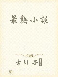 最热小说
