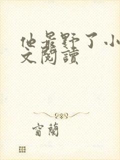 他最野了小说全文阅读