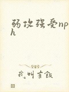 弱攻强受np高h