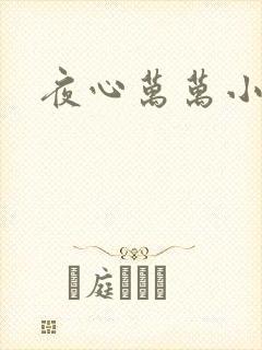 夜心万万小说