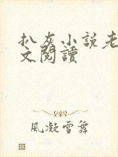 扒灰小说老马全文阅读