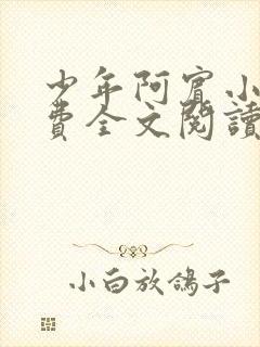 少年阿宾小说免费全文阅读无删减