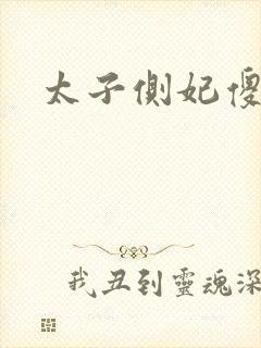 太子侧妃傻乎乎封面