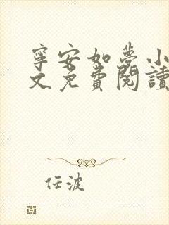 宁安如梦小说全文免费阅读无弹窗