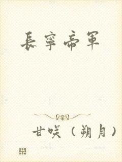 长宁帝军封面