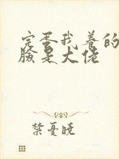 完蛋我养的小白脸是大佬