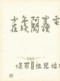 少年阿宾电子书在线阅读封面
