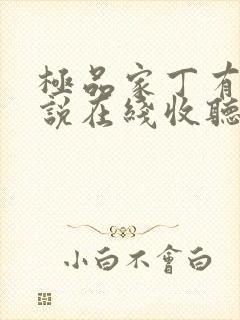极品家丁有声小说在线收听封面
