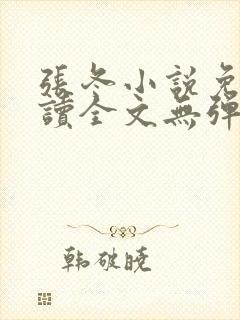 张冬小说免费阅读全文无弹窗封面
