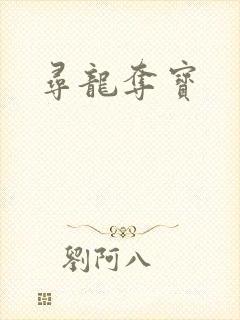 寻龙夺宝