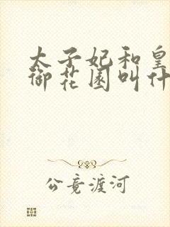 太子妃和皇帝在御花园叫什么小说