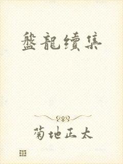 盘龙续集