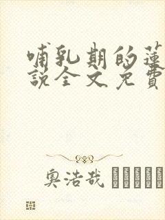 哺乳期的莲儿小说全文免费阅读