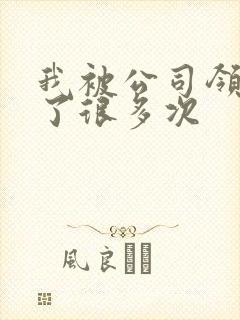 我被公司领导C了很多次