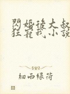 闪婚后大叔每天狂宠我小说完整免费