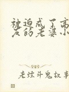 被迫成了高冷室友的老婆小说阅读免费