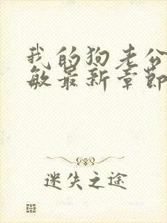 我的狗老公张淑敏最新章节免费阅读