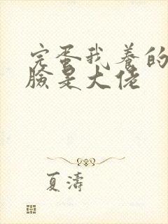 完蛋我养的小白脸是大佬