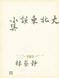 小说东北大炕全集