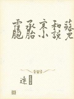 霍承寒和苏沅双胞胎小说免费阅读