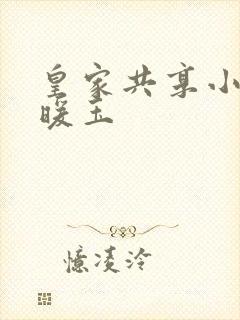 皇家共享小公主暖玉