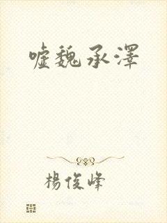 嘘魏承泽封面